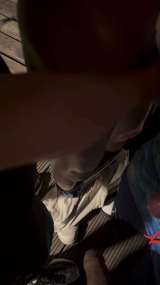 可爱小奶狗在公园被一群学生逮捕