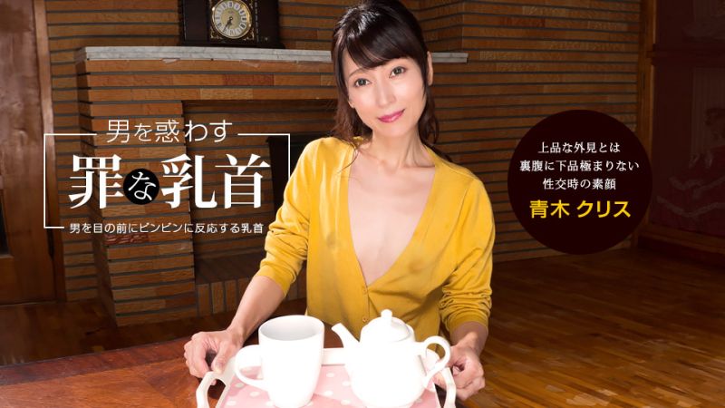 诱惑男人犯罪的乳头 青木克莉丝 1pondo_041922_001