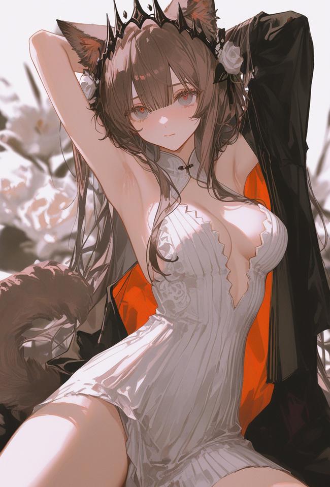 初绽的玫瑰，更适宜在晚上进行采摘