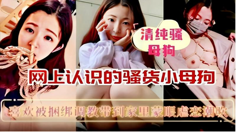 清纯骚母狗网上认识的骚货小母狗喜欢被捆绑调教带到家里狂草