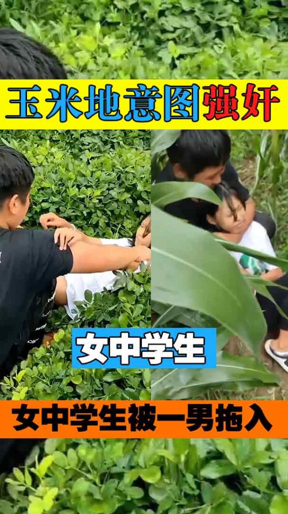 女中学生被一男拖入玉米地意图强奸