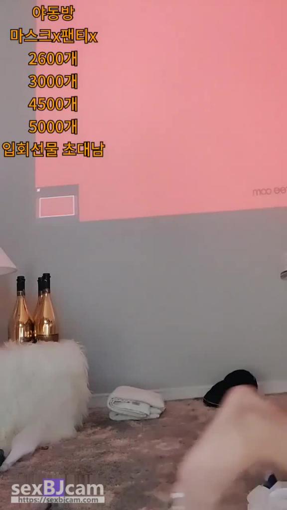 KBJ-24080674 预览截图 10