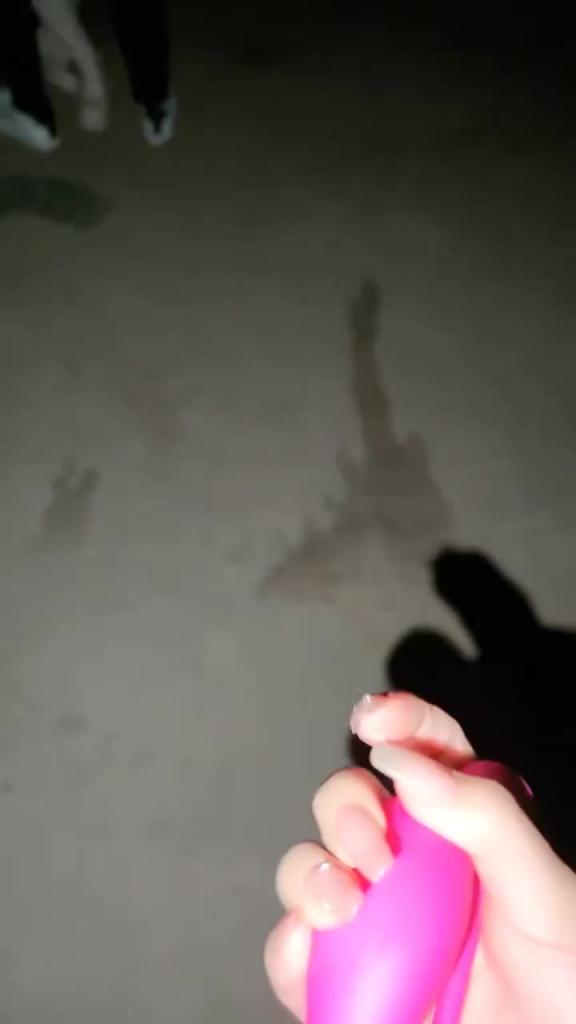 两个骚女深夜驾车户外没穿内裤塞着跳蛋翘起屁股摸穴后入 预览截图 3