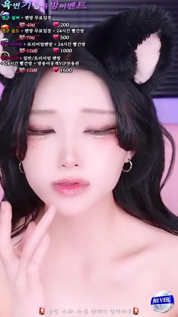 KBJ-25011847 预览截图 7