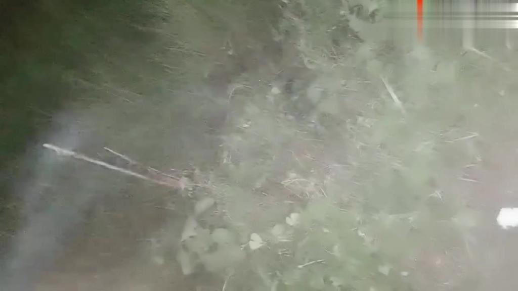妹子在出租车上黄播被司机知道后拉到荒郊野外在车上给操了! 预览截图 12