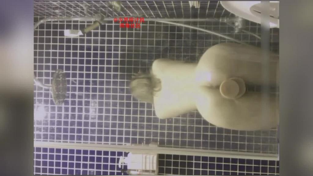 贵宾【反差婊档案】情侣泄露密校花级大美女玩调教游戏 预览截图 4