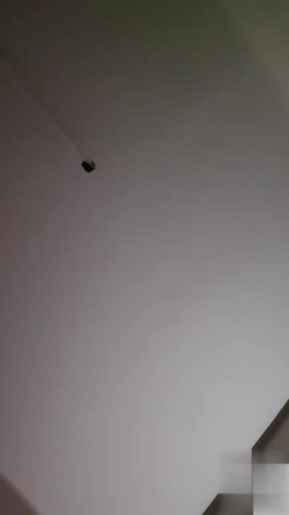 姐弟乱伦】姐姐生过孩子后丰满的少妇味十足涨奶涨到了G罩杯让我看了就想操 预览截图 4