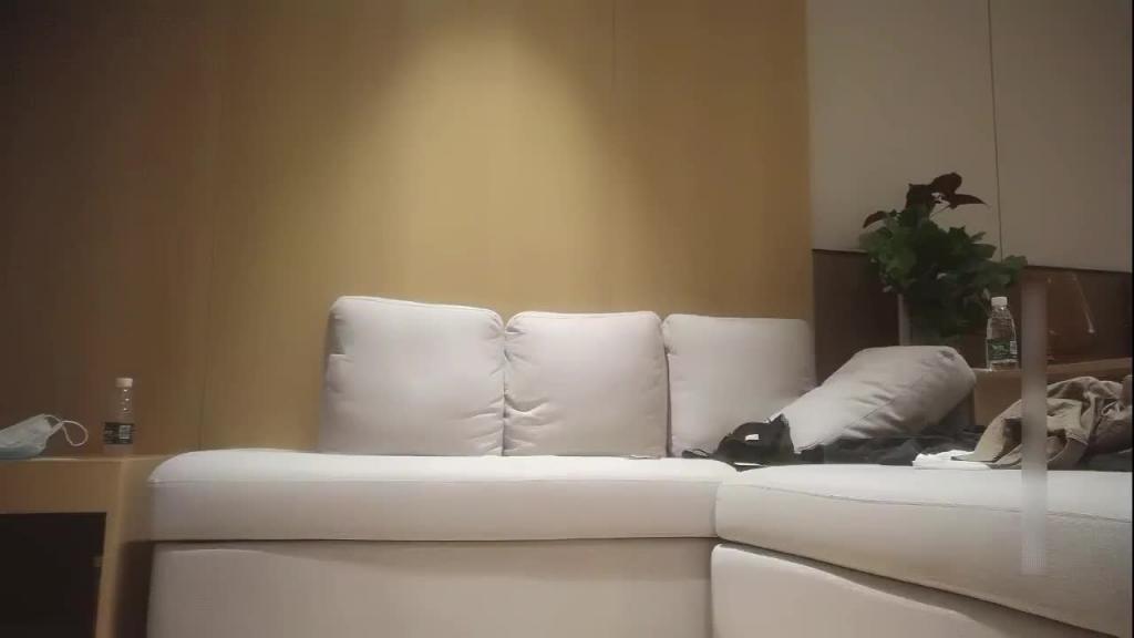 【探花寻欢】双马尾萌妹一进门就猴急脱衣服舔逼狠操娇喘不断 预览截图 2