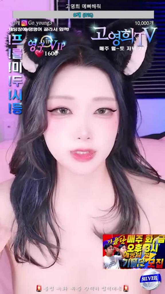 KBJ-24122480 预览截图 1