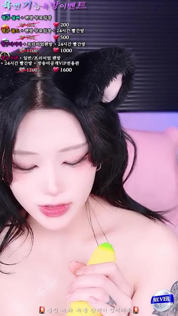 KBJ-25011847 预览截图 3