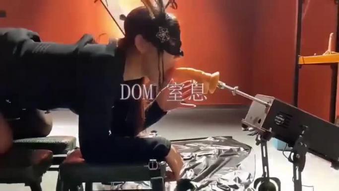 贵宾DOM有趣国产SM天花板白虎黑丝炮机调教 预览截图 5