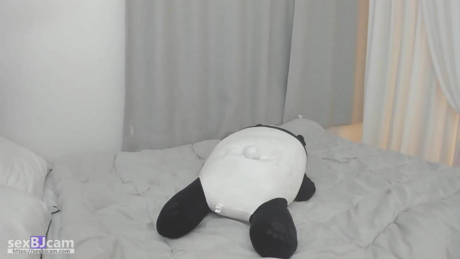 KBJ-24062750 预览截图 6
