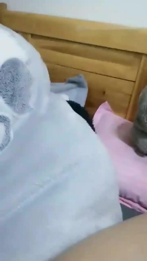 【高中白虎】南昌三中超级粉嫩的白虎高中妹周X颖在酒吧带回酒店无情内射被混混轮着艹逼~完整版 预览截图 10